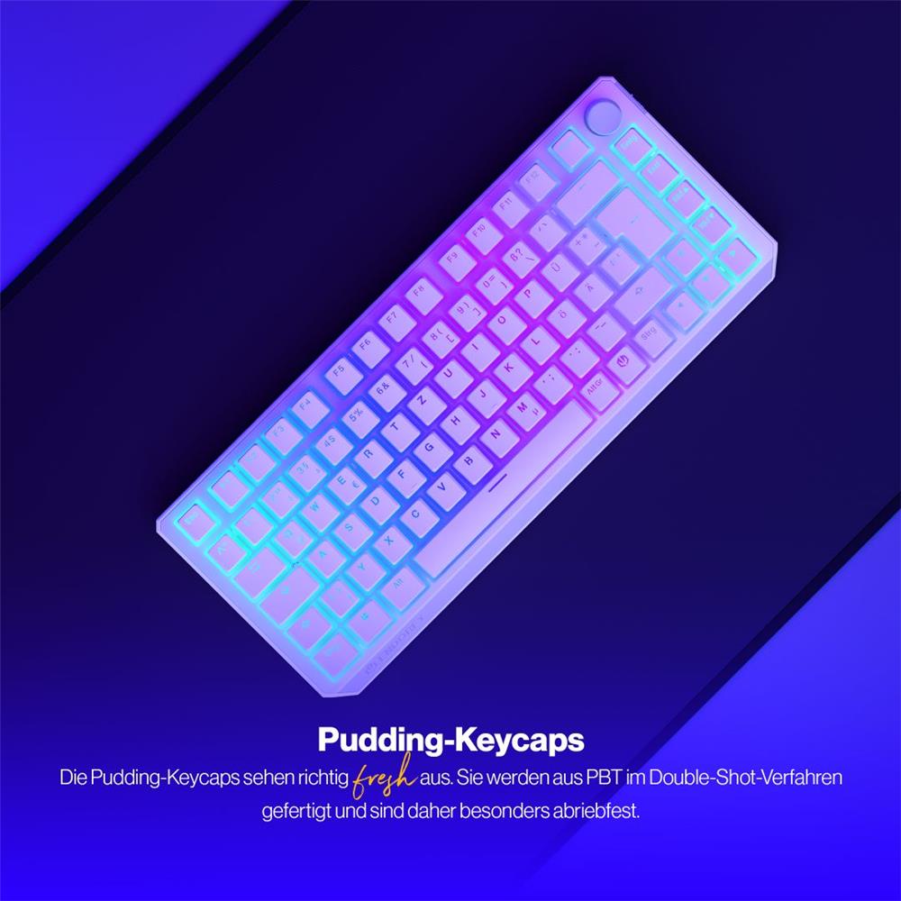 ENDORFY Thock 75% Wireless DE Kailh Box Black Onyx White Pudding, Tastatur, Weiß, DE-Layout, Kabellos, Beleuchtet