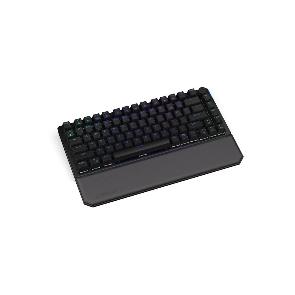 ENDORFY Thock 75% Palm Rest, schwarze Handballenauflage, Magnetische Befestigung