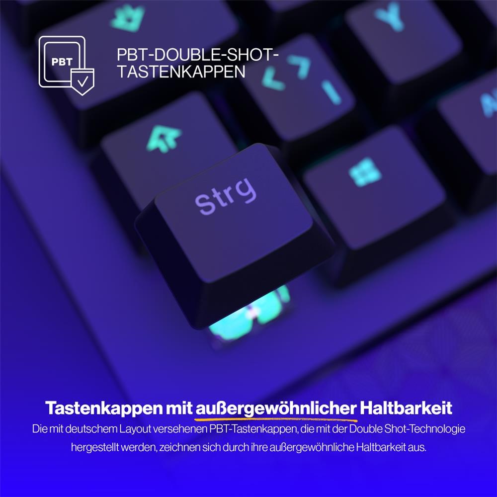 ENDORFY Omnis (schwarz, DE-Layout, Kailh RGB Red), Tastatur, Beleuchtet, Kabellos, Handauflage