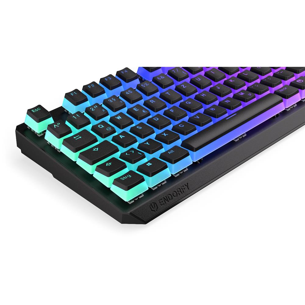 ENDORFY Thock TKL Wireless Pudding (schwarz, DE-Layout, Kailh BOX Red), Tastatur, Beleuchtet, Kabellos