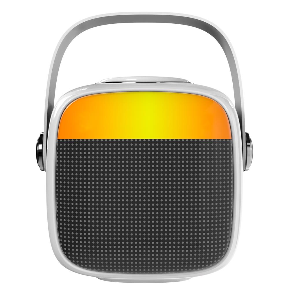 Adler AD 1199 Karaoke Lautsprecher mit Mikrofon Bluetooth Weiß