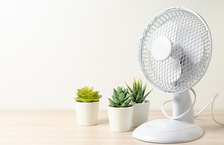 Kleine Ventilatoren für heiße Tage – kompakte Abkühlung