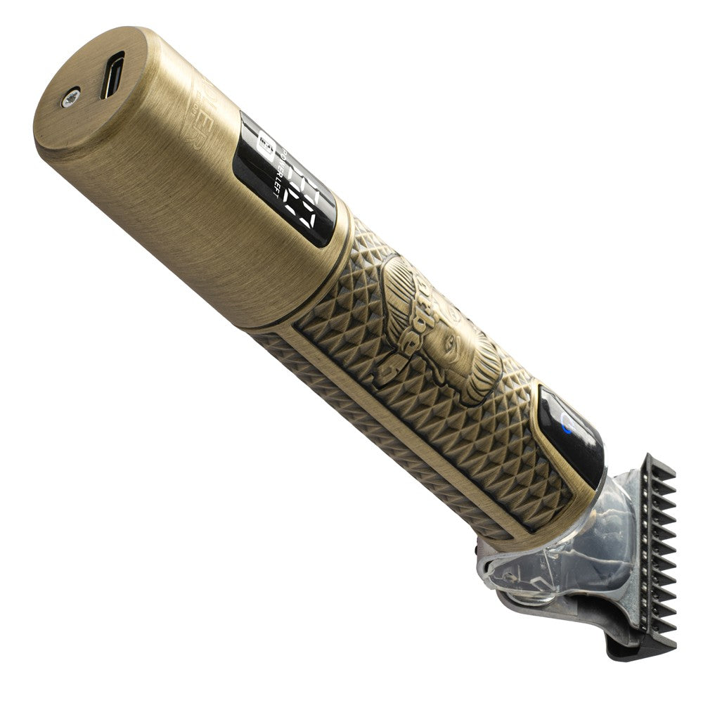 Adler AD 2970 Profi Barber Haarschneider Trimmer, Rasierapparat Konturenschneider für Bart, Nacken und Haarlinien, Keramikklinge, USB-C, Metallgehäuse Golden