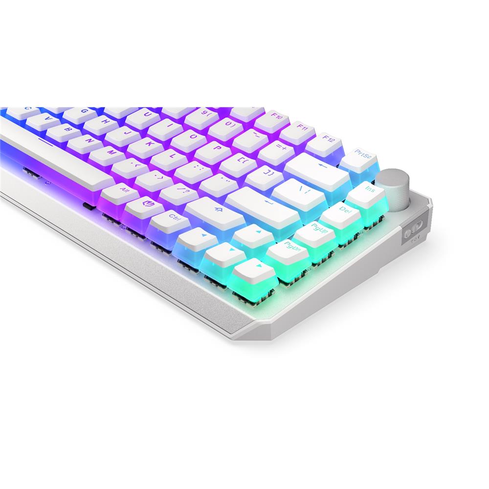 ENDORFY EY5A118 - Keyboards (US) Thock Wireless 75% OWH P. Kailh RD, Tastatur, Weiß, Beleuchtet, ENG-Layout