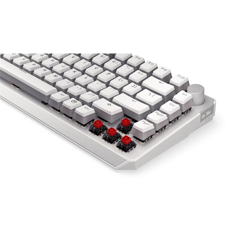 ENDORFY EY5A118 - Keyboards (US) Thock Wireless 75% OWH P. Kailh RD, Tastatur, Weiß, Beleuchtet, ENG-Layout