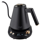 Adler AD 1349 Wasserkocher mit langem Ausguss, 1 Liter, 900 Watt, in Schwarz-Gold