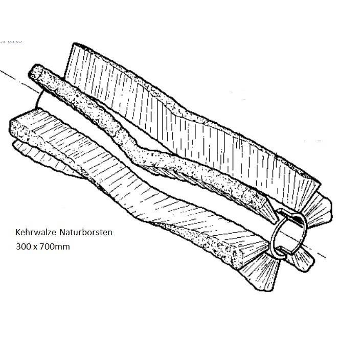 Nilfisk Original 145 6080 000 Kehrwalze Naturborsten