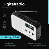 Adler AD 1907 PLL AM FM Digitalradio mit Weckerfunktion, USB C, Weiß Schwarz