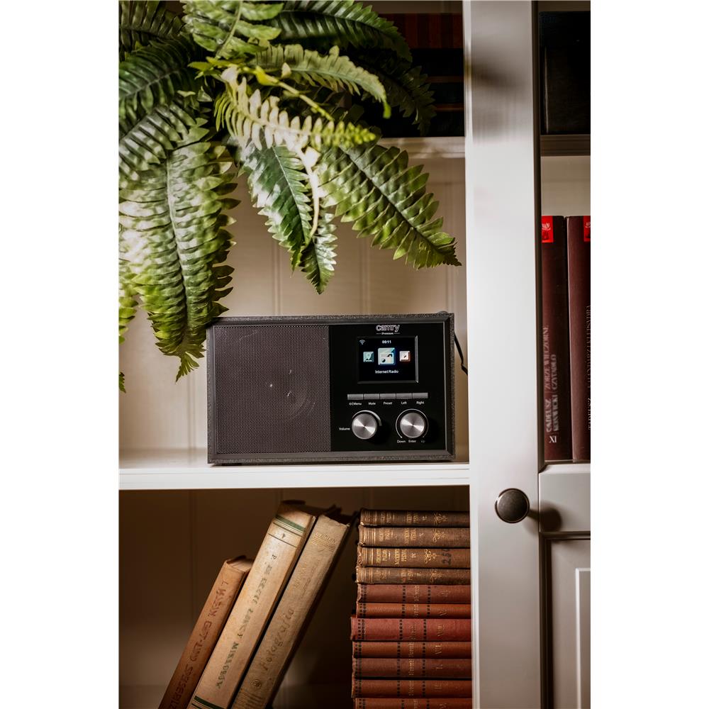 Camry CR1180 DAB Internetradio Digitalradio Küchenradio Wi-Fi AUX Wettervorhersage Alarm Farbdisplay