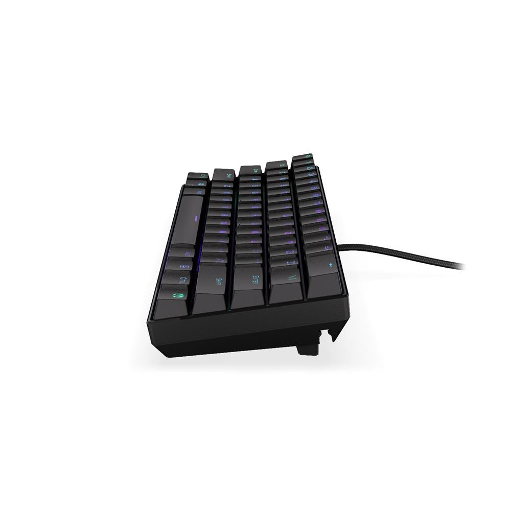 ENDORFY EY5A071 - Keyboards (US) Thock Compact Kailh RD, Tastatur, Schwarz, ENG-Layout, Beleuchtet