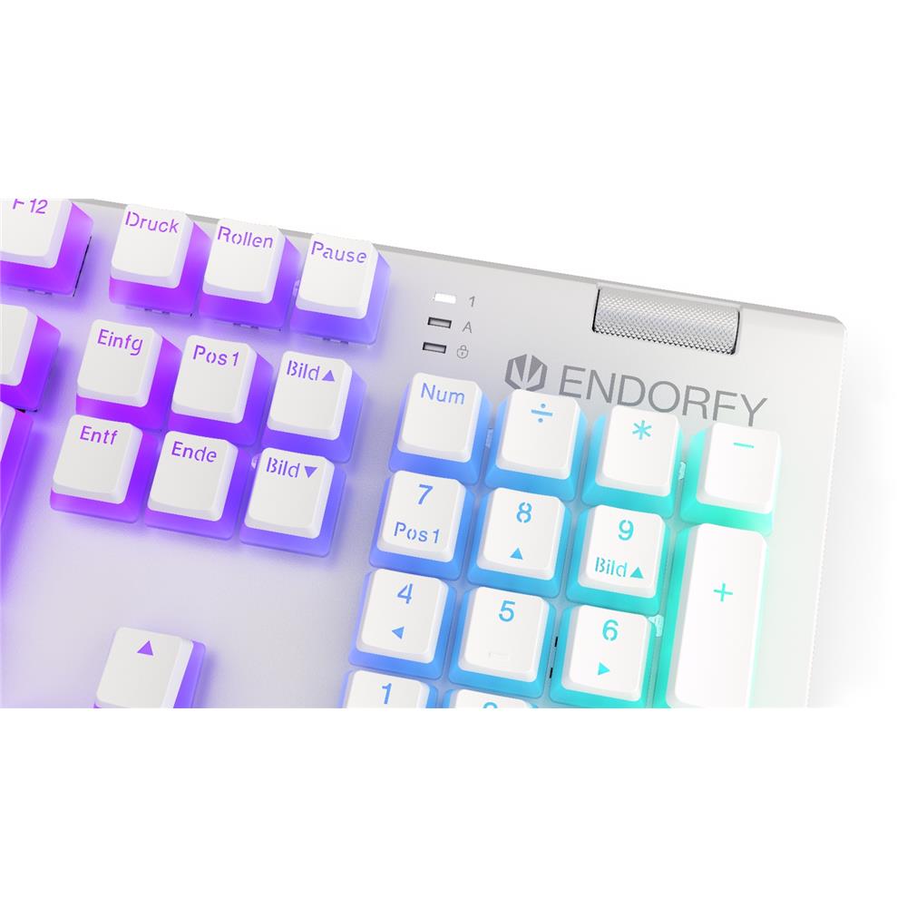 ENDORFY Omnis DE Kailh Brown Onyx White Pudding, Tastatur, Weiß, Beleuchtet, DE-Layout