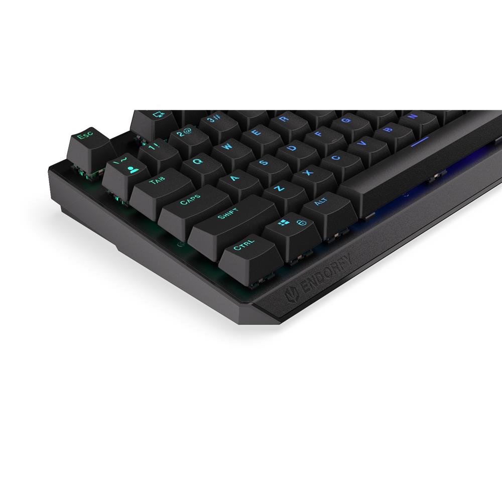 ENDORFY EY5A123 - Tastatur (Eng. Layout, QWERTY) Thock Kailh RD, Beleuchtet, Schwarz