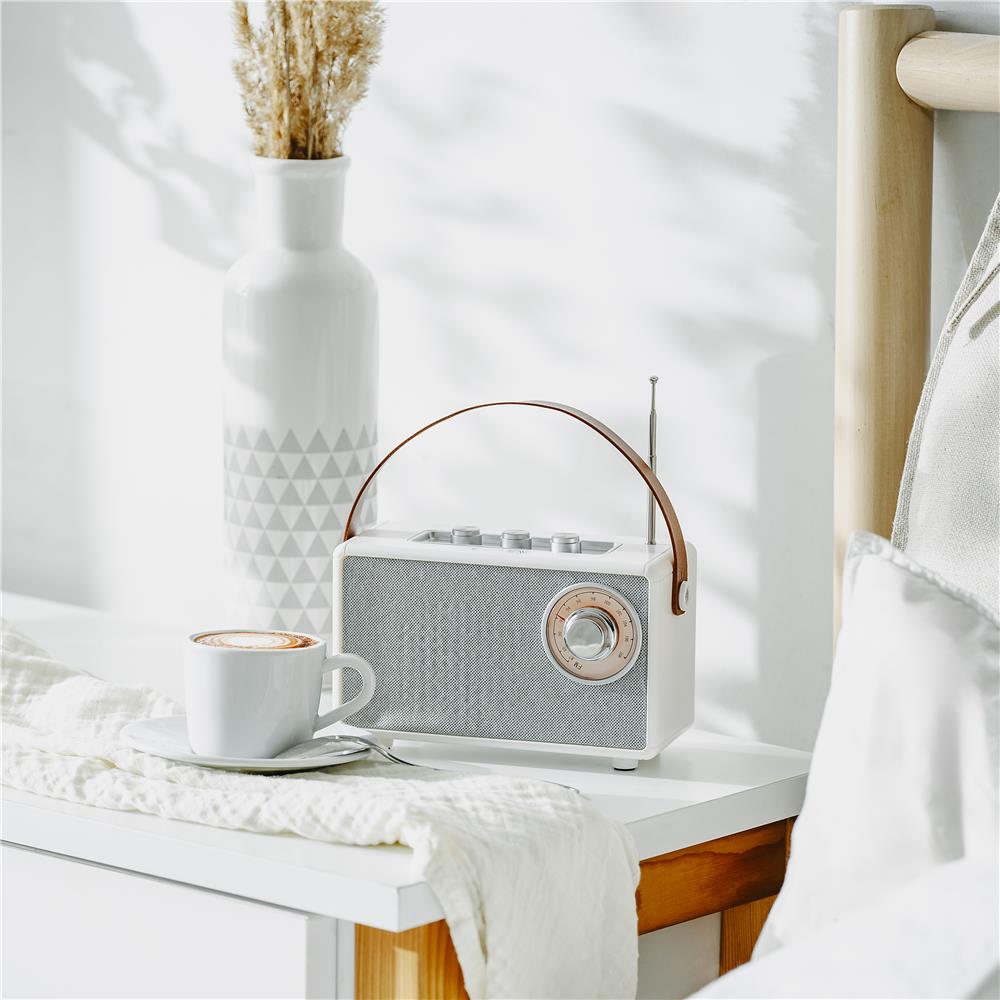 Camry CR 1902 FM Radio mit Bluetooth tragbares Küchenradio USB AUX weiß