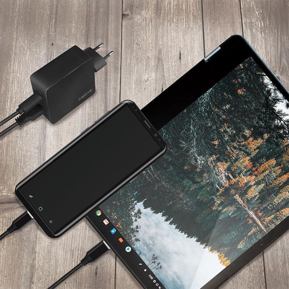 LogiLink Schnellladeadapter Dual-USB mit USB-C (PD) und USB-A (QC), 18W, Schwarz