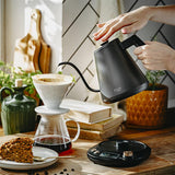 Adler AD 1349 Wasserkocher mit langem Ausguss, 1 Liter, 900 Watt, in Schwarz-Gold