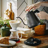 Adler AD 1349 Wasserkocher mit langem Ausguss, 1 Liter, 900 Watt, in Schwarz-Gold