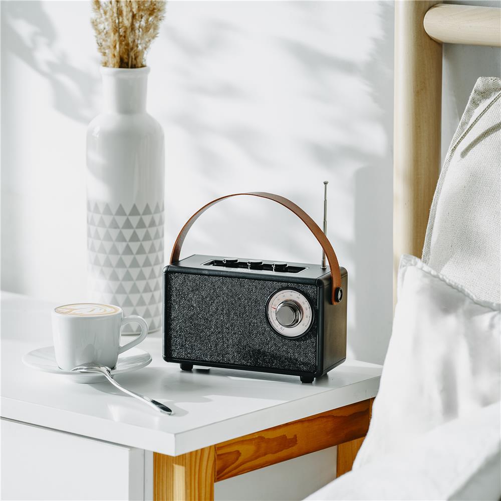 Camry CR 1902 FM Radio mit Bluetooth tragbares Küchenradio USB AUX schwarz