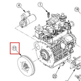 Nilfisk Original 56511547 Flywheel WG972 Engine Schwungrad