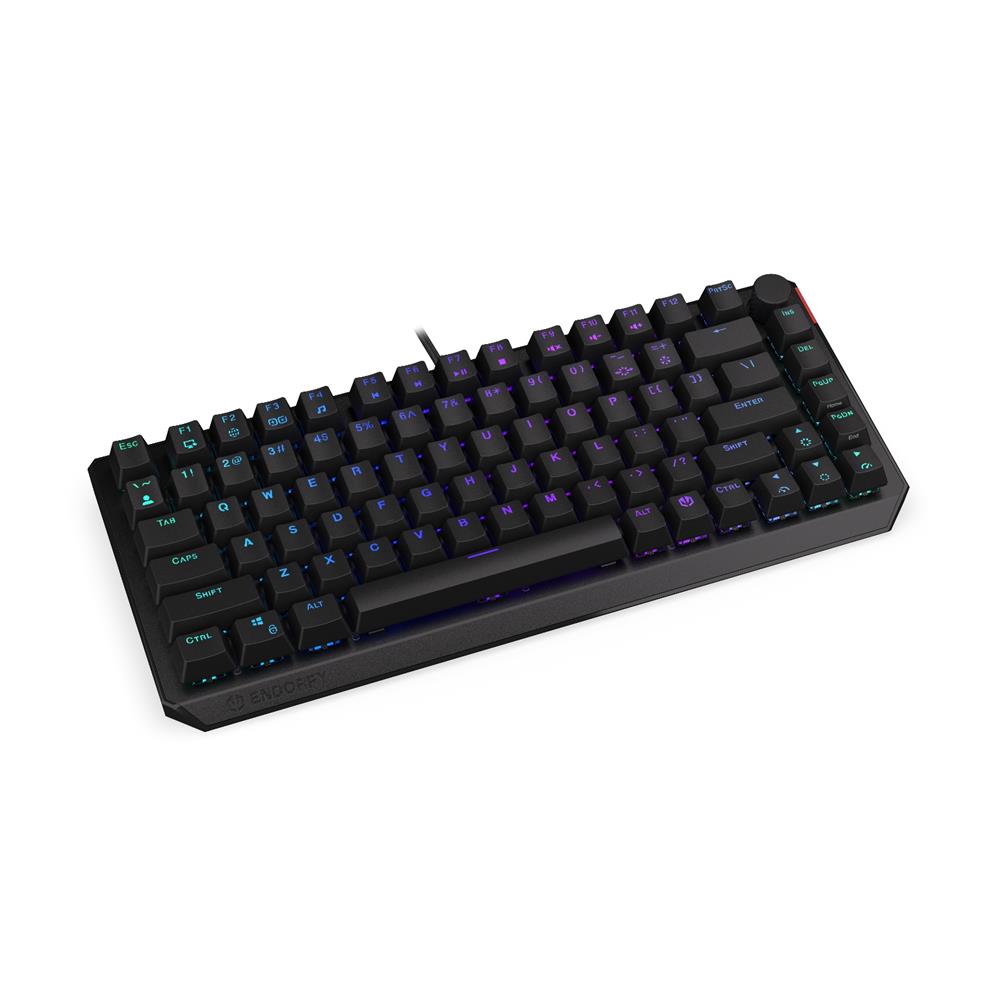 ENDORFY EY5A076 - Keyboards (US) Thock 75% Kailh RD, Tastatur, Schwarz, ENG-Layout, Beleuchtet