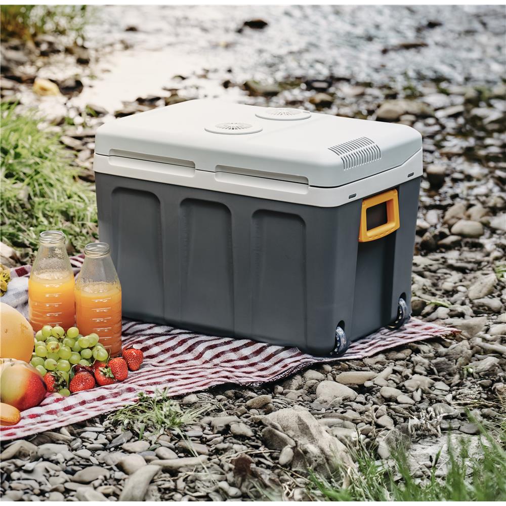 Adler AD 8087 Kühl- und Wärmeschrank 40 L mit Tragegriff und Rollen Campingkühlschrank