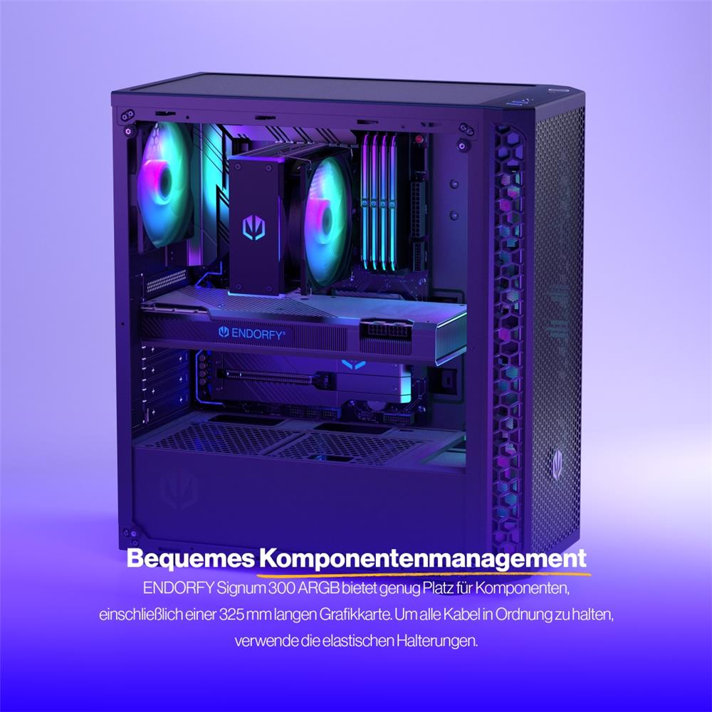 ENDORFY Signum 300 ARGB ATX PC Gehäuse mit Glasfenster