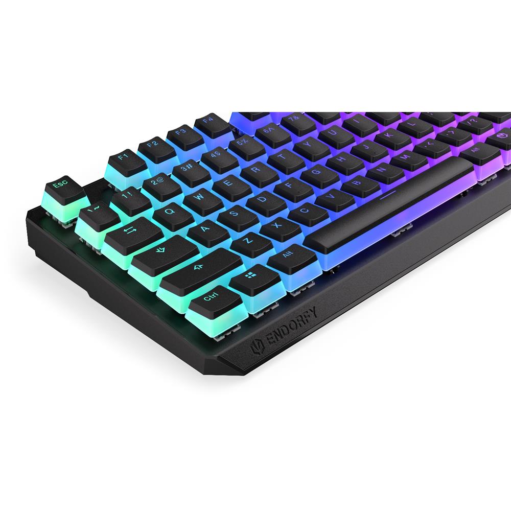 ENDORFY Thock Wireless TKL Pudding Tastatur mit Kailh Box Red US Layout ARGB