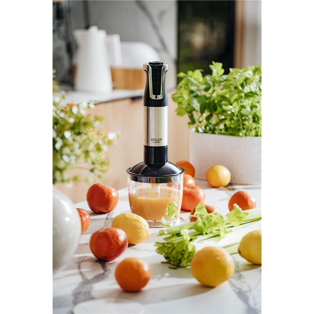 Adler AD 4627 Stabmixer Set elektrischer Handmixer Schneebesen Milchaufschäumer Turbo Funktion silber
