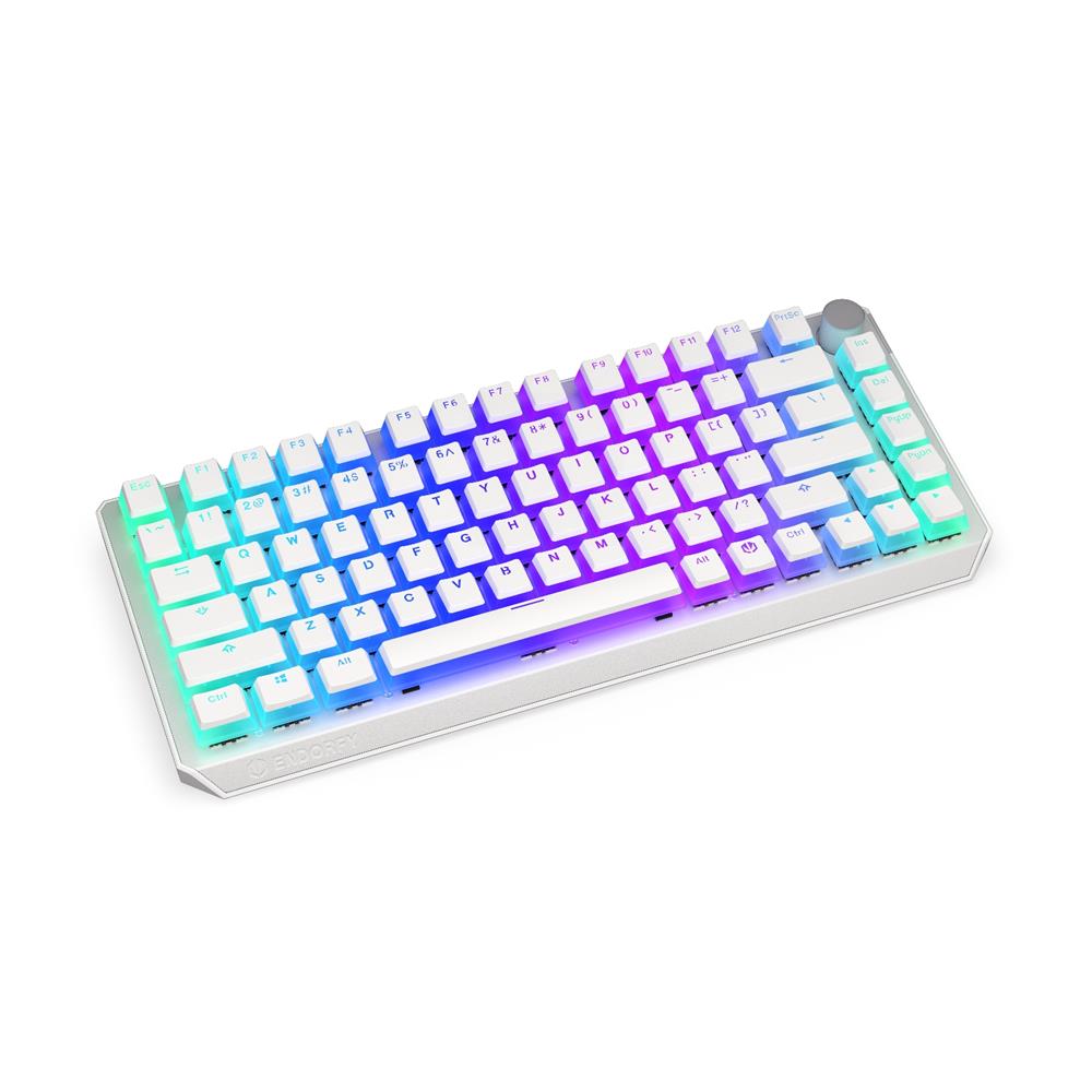 ENDORFY EY5A118 - Keyboards (US) Thock Wireless 75% OWH P. Kailh RD, Tastatur, Weiß, Beleuchtet, ENG-Layout