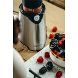 Camry CR 4069 Edelstahl-Standmixer für Smoothies, Cocktails, Crushed Eis, mit 2 Trinkflaschen