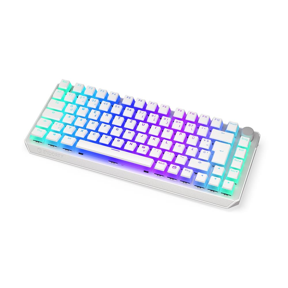 ENDORFY Thock 75% Wireless DE Kailh Box Black Onyx White Pudding, Tastatur, Weiß, DE-Layout, Kabellos, Beleuchtet