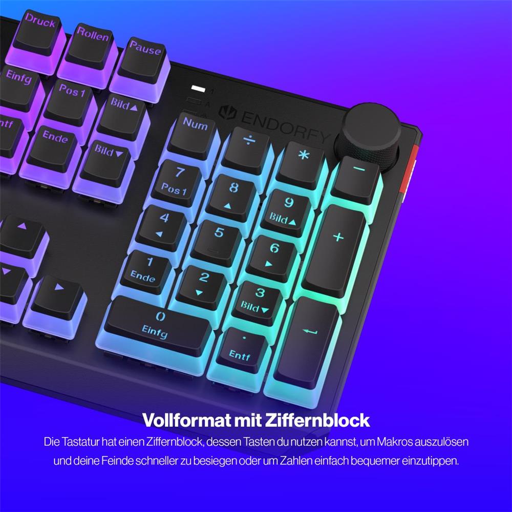 ENDORFY Thock DE Kailh Red Pudding, Tastatur, Schwarz, Beleuchtet, DE-Layout