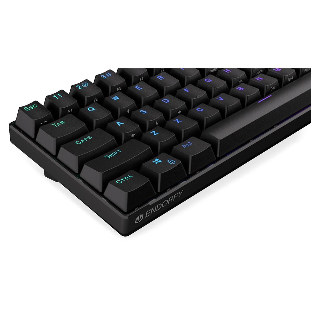 ENDORFY EY5A071 - Keyboards (US) Thock Compact Kailh RD, Tastatur, Schwarz, ENG-Layout, Beleuchtet