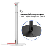 LogiLink Lautsprecherständer für SONOS ERA 100 & 300, höhenverstellbar, max. 5 kg, Weiß