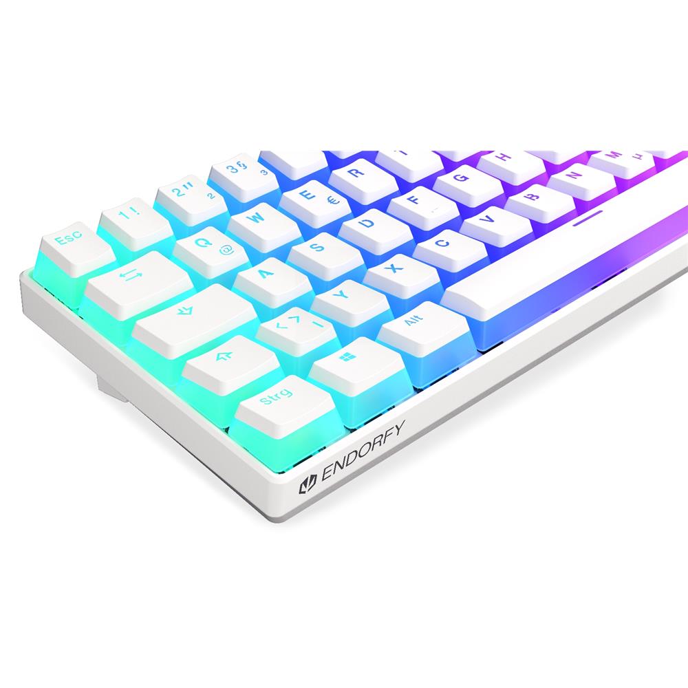 ENDORFY Thock Compact Wireless DE Kailh Box Black Onyx White Pudding, Tastatur, DE-Layout, Weiß, Kabellos