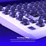 ENDORFY Thock 75% Wireless DE Kailh Box Black Onyx White Pudding, Tastatur, Weiß, DE-Layout, Kabellos, Beleuchtet