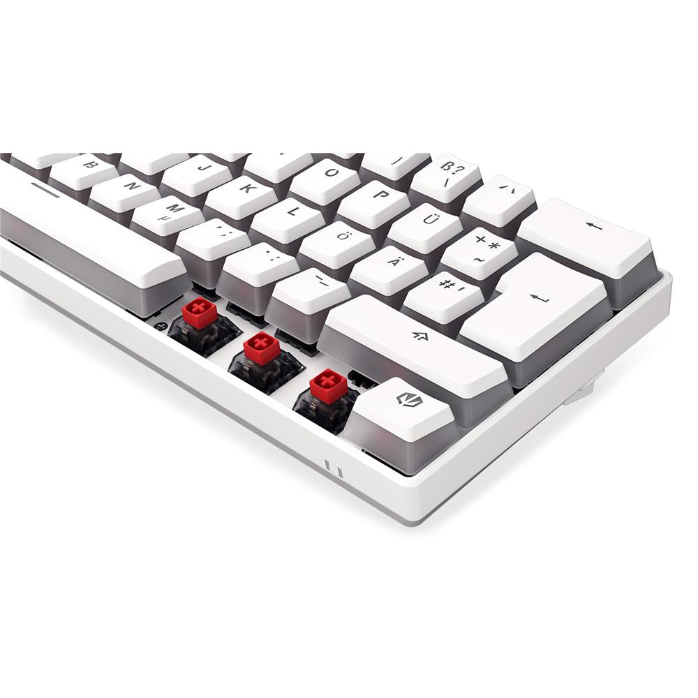 ENDORFY Keyboard Thock Compact Wireless, Tastatur, DE-Layout, Weiß, Kabellos, Beleuchtet
