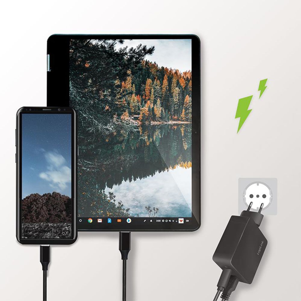 LogiLink Schnellladeadapter Dual-USB mit USB-C (PD) und USB-A (QC), 18W, Schwarz