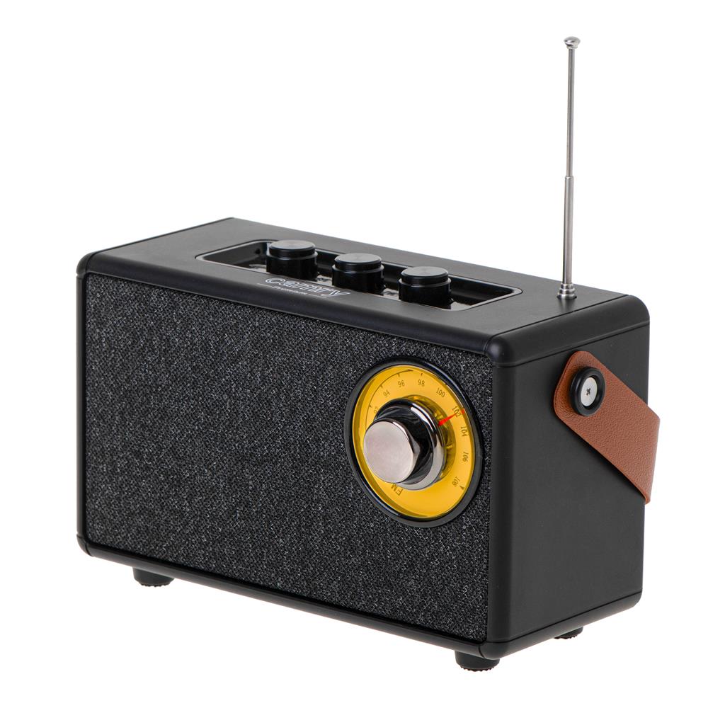 Camry CR 1902 FM Radio mit Bluetooth tragbares Küchenradio USB AUX schwarz