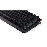 ENDORFY EY5A076 - Keyboards (US) Thock 75% Kailh RD, Tastatur, Schwarz, ENG-Layout, Beleuchtet