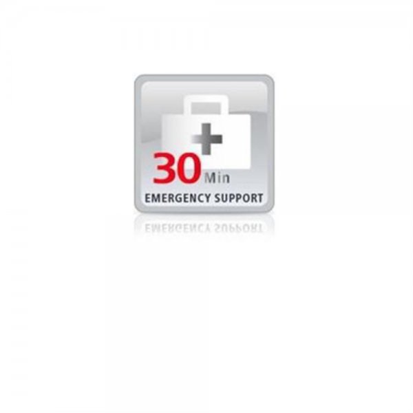 Lancom Emergency Support