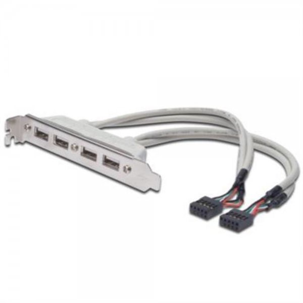 USB Slotblechkabel, 2x USB Port, A/M - 2x 10pin IDC # AK-300304-002-E