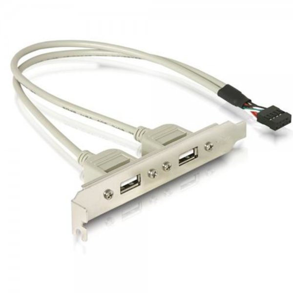 Delock Slotblech USB Konsole USB Typ A 4-polig (W)
